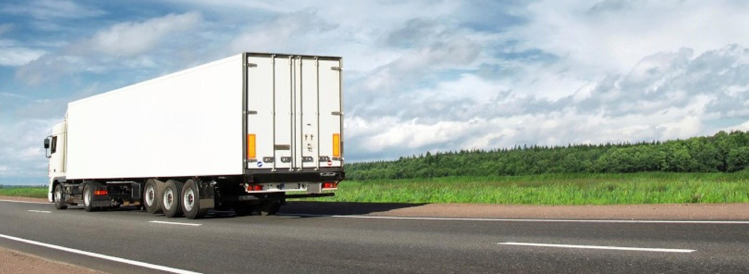 adaptive_image_copy_copy_copy adaptive_image_copy_copy_copy