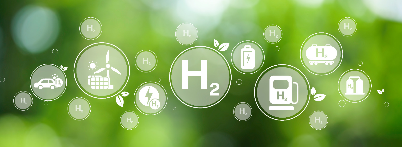 Renewable DIesel Update