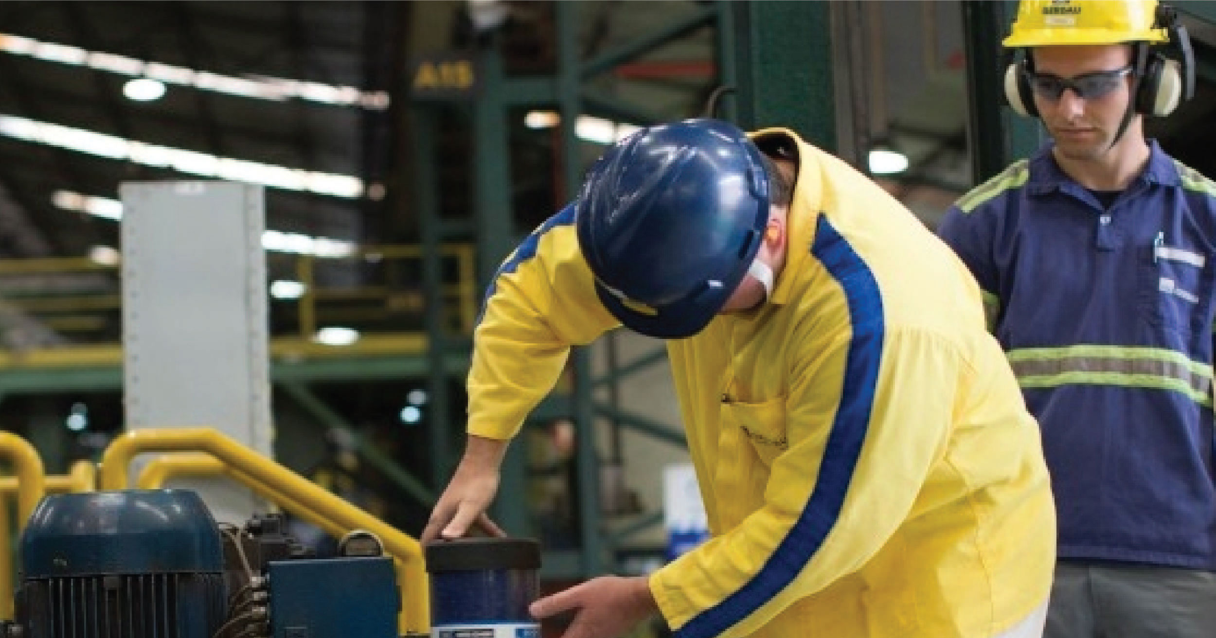 Precision Lubrication Program